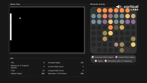 米乐YY易游体育