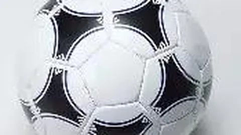 2025年1月21日印度羽毛球公开赛混双金牌：蒋振邦与魏雅欣携手夺冠